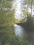 Le Loing